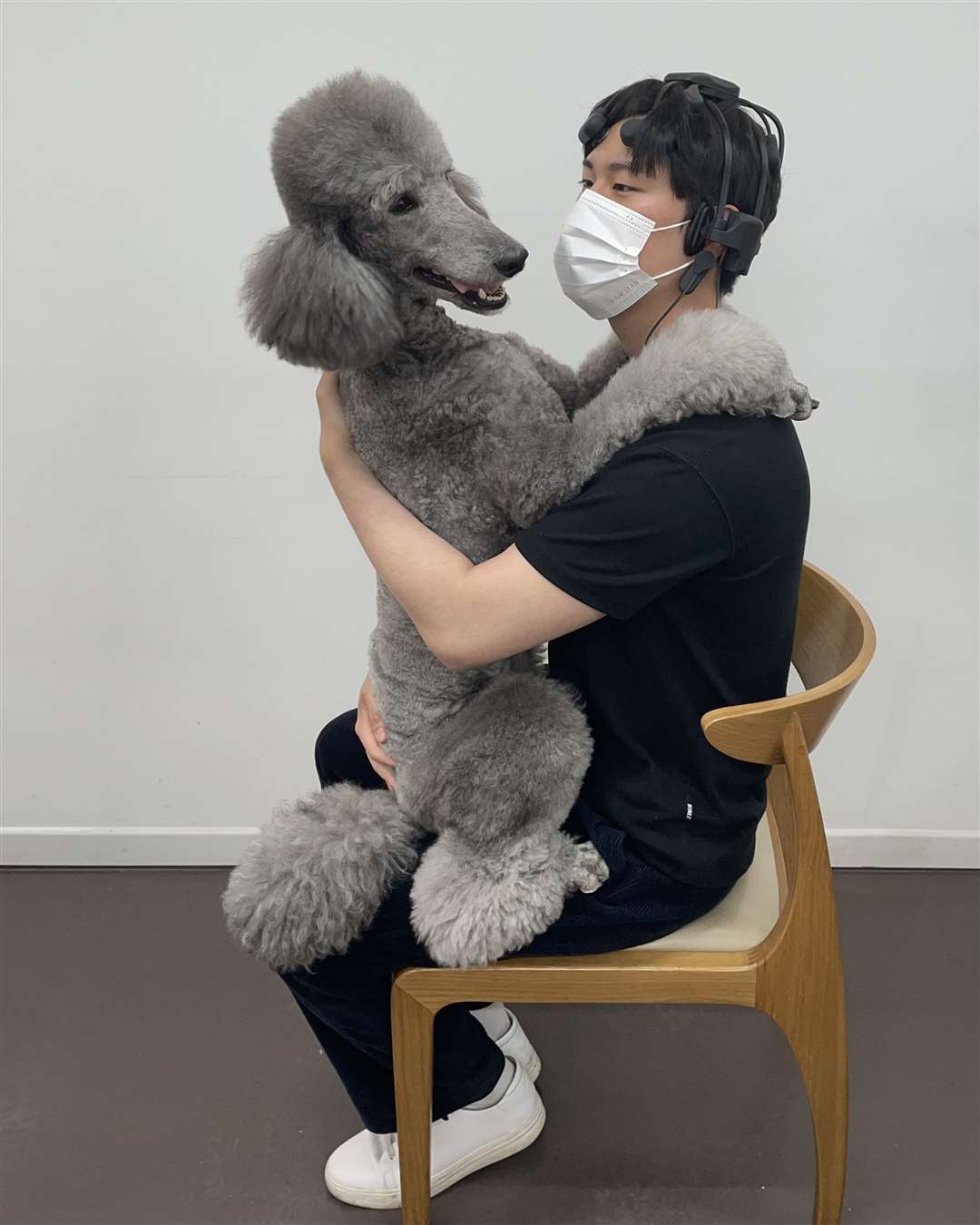 A study participant hugs the poodle (Yoo et al/Plos One/PA)