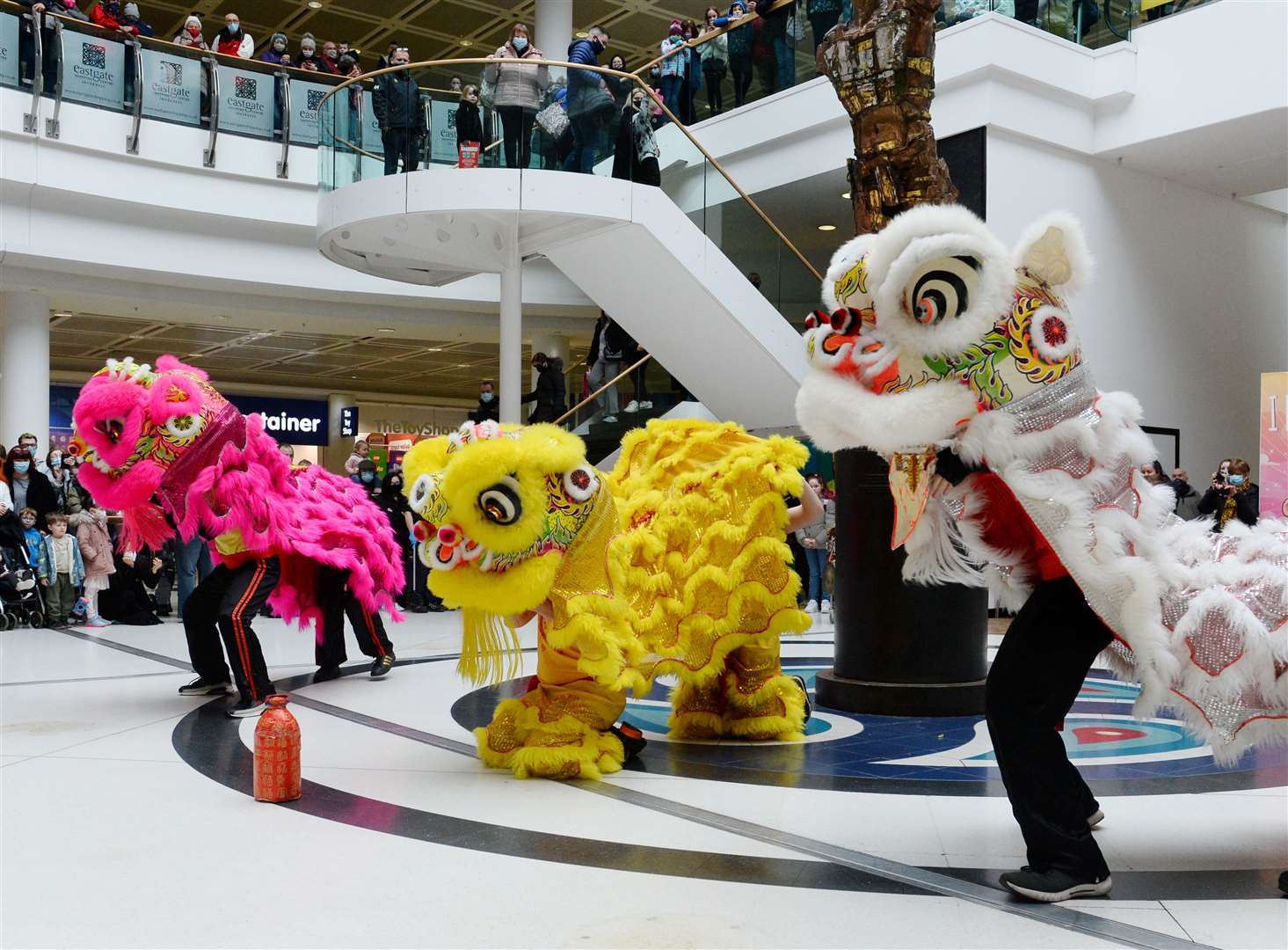 Chinese New Year parade by Yee's Hung Ga Kung Fu Academy at Eastgate Centre. Picture Gary Anthony.