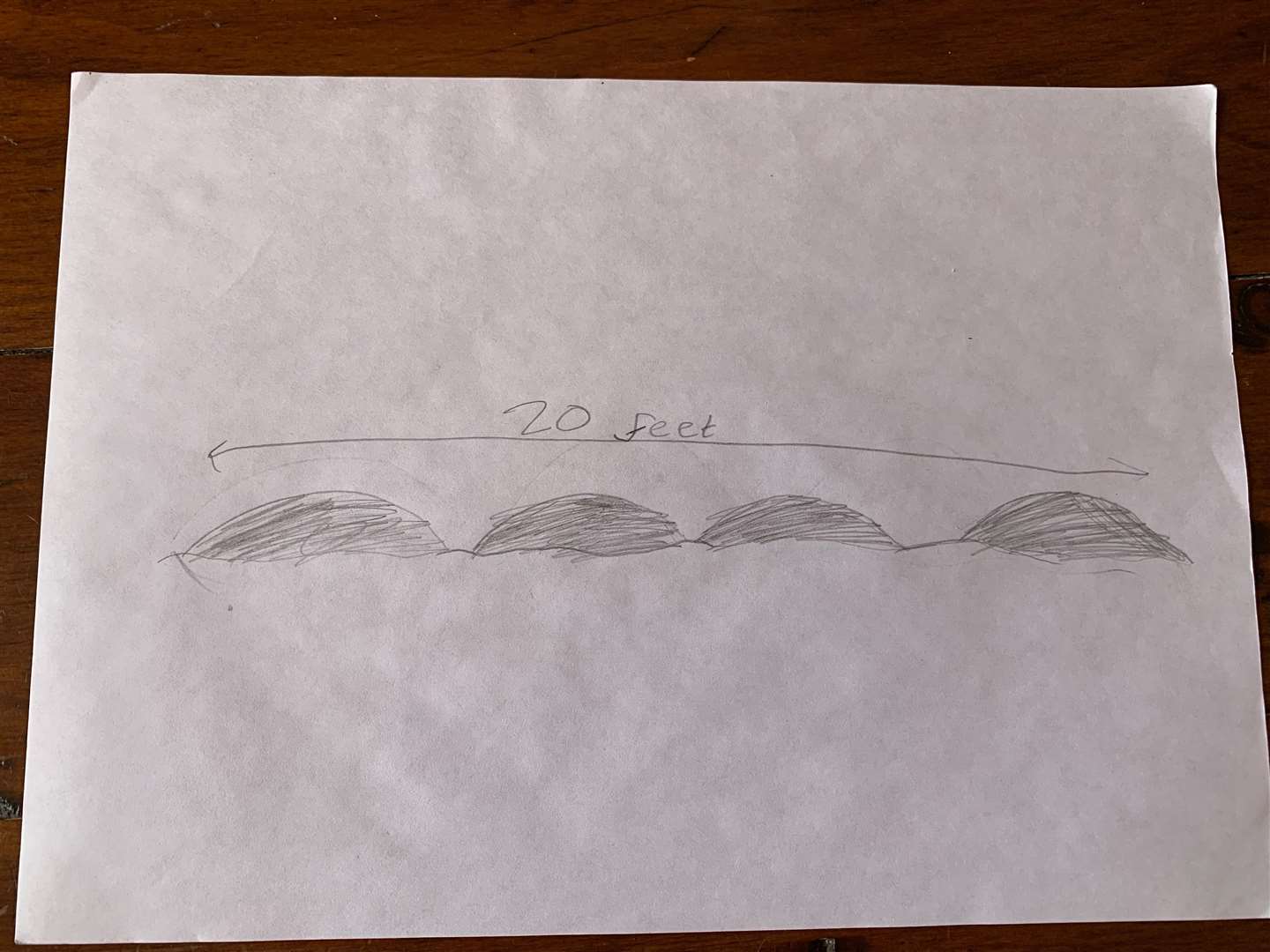 The drawing by Francesca McGarvey of what she saw on Loch Ness.