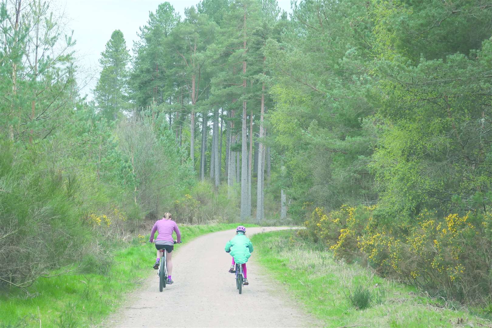 Cycling at Culbin Forest.