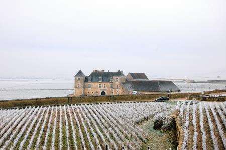 Frozen vines and the ancient Clos du Vougeot estate