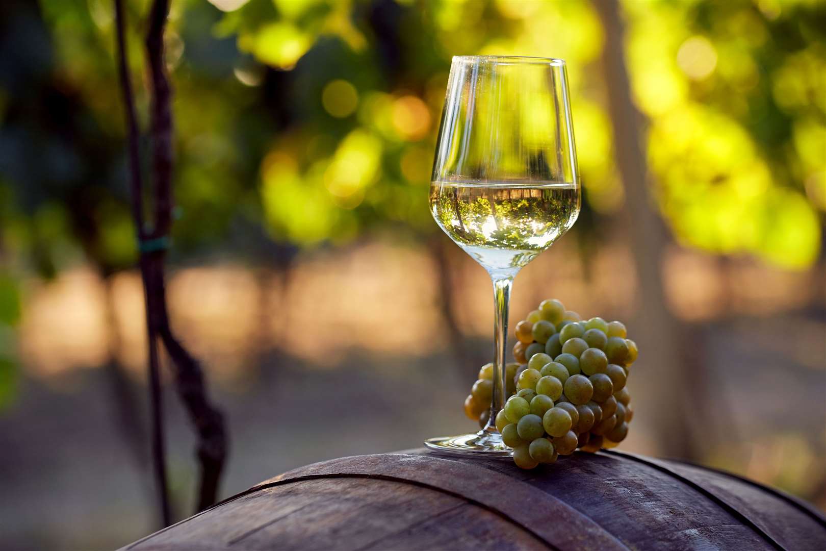 Chardonnay is a favourite with many wine drinkers. Picture: PA Photo/iStock