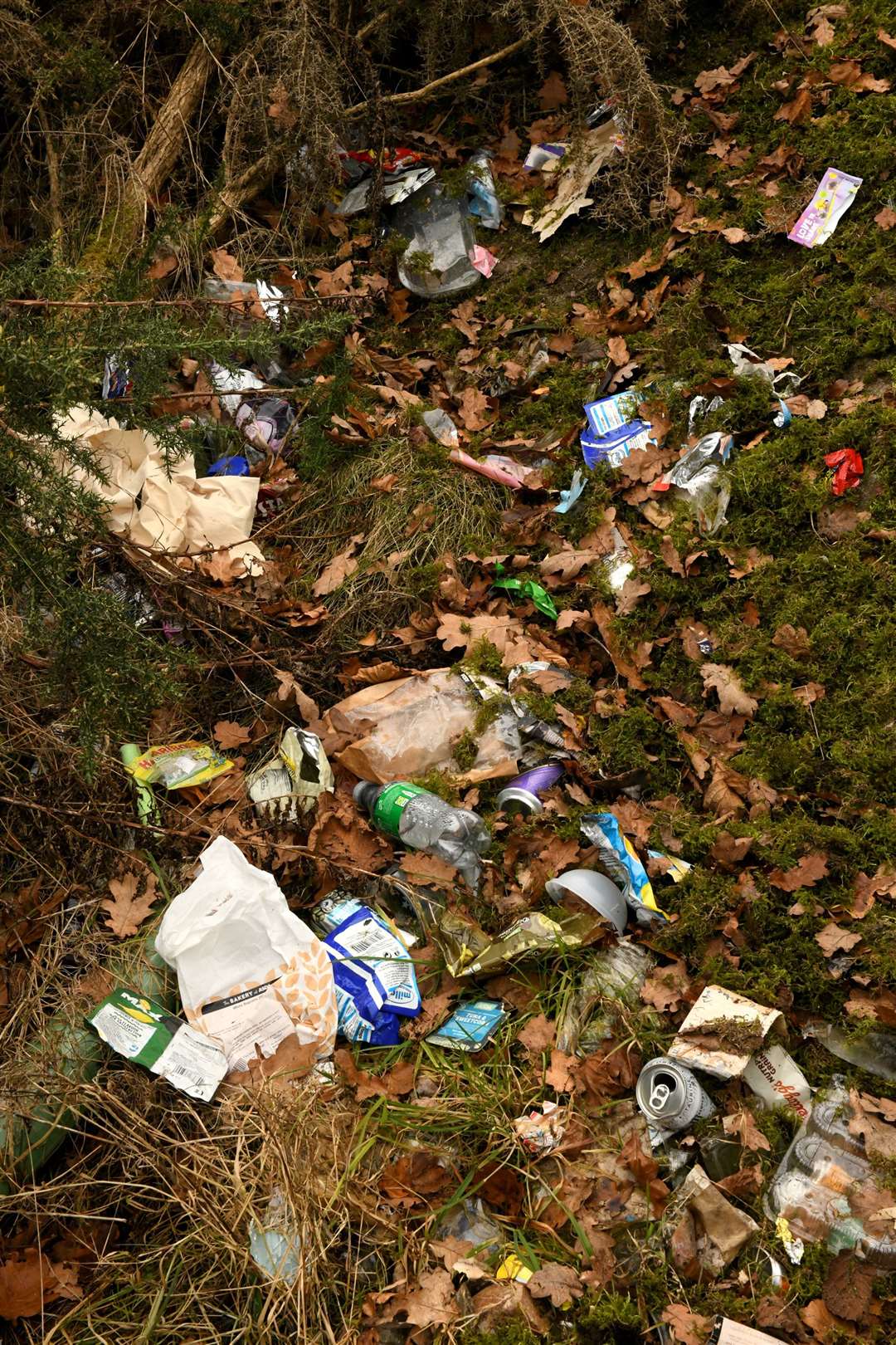 Litter (file image). Picture: James Mackenzie.