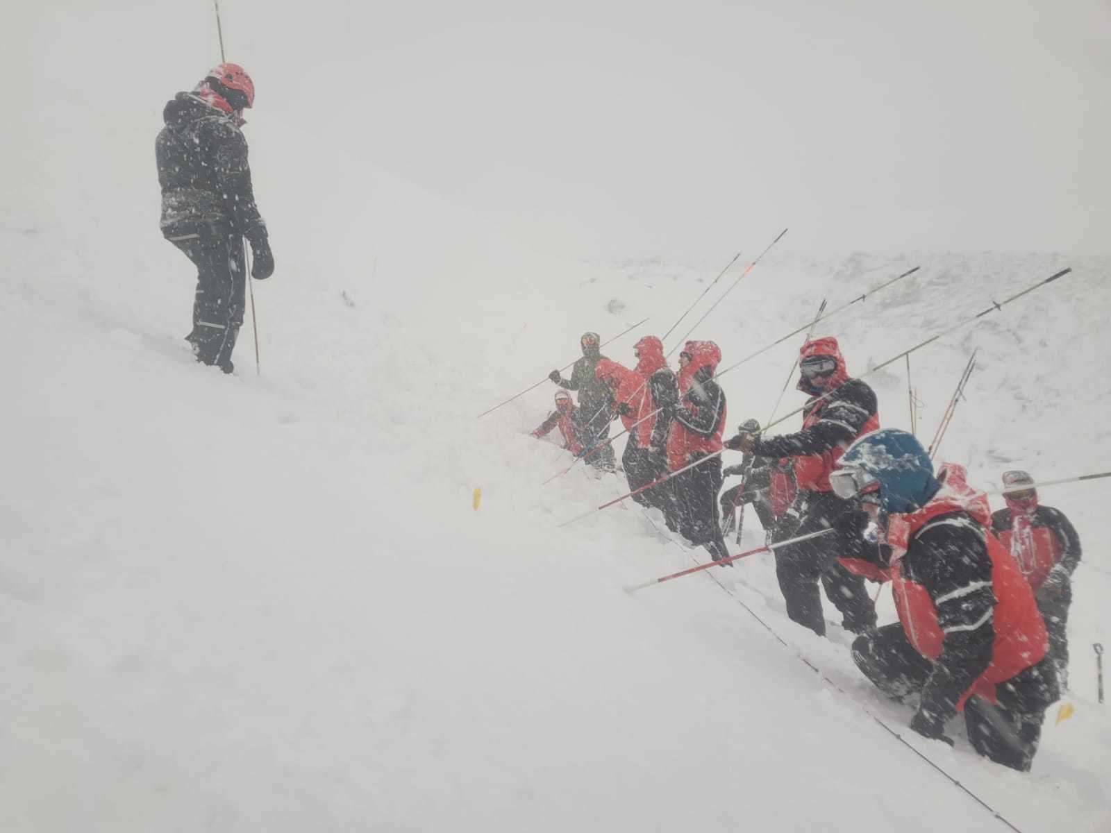 Mountain rescuers practise probing for avalanche survivors in a training exercise.