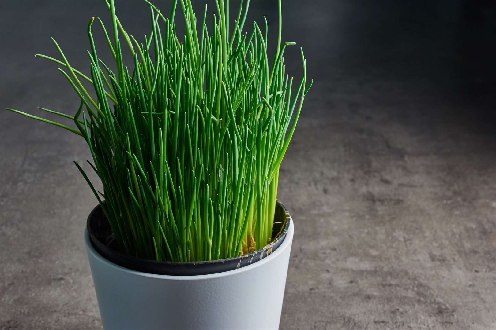 Undated Handout Photo of apot of chives. See PA Feature GARDENING Advice Herbs. Picture credit should read: iStock/PA. WARNING: This picture must only be used to accompany PA Feature GARDENING Advice Herbs.