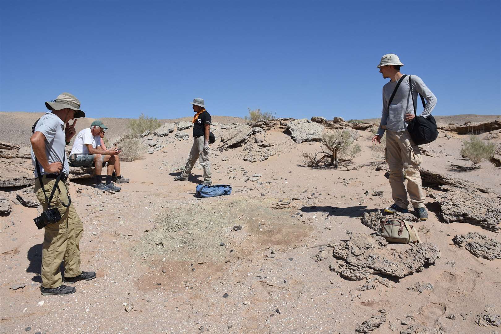 The bones were discovered in the Gobi Desert (Dr Gregory Funston/PA)