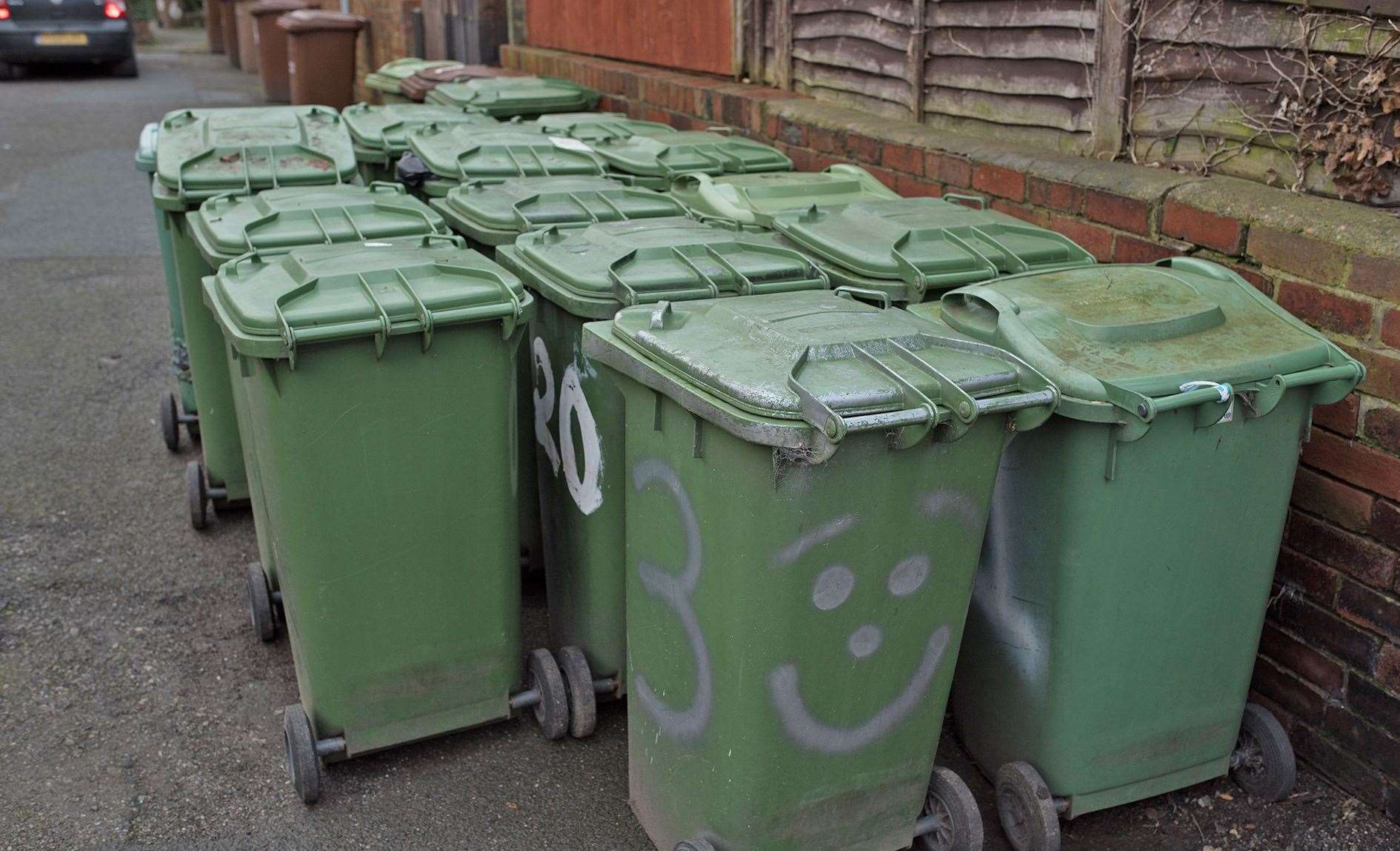 Councillors heard proposals to reduce the size of green bins.