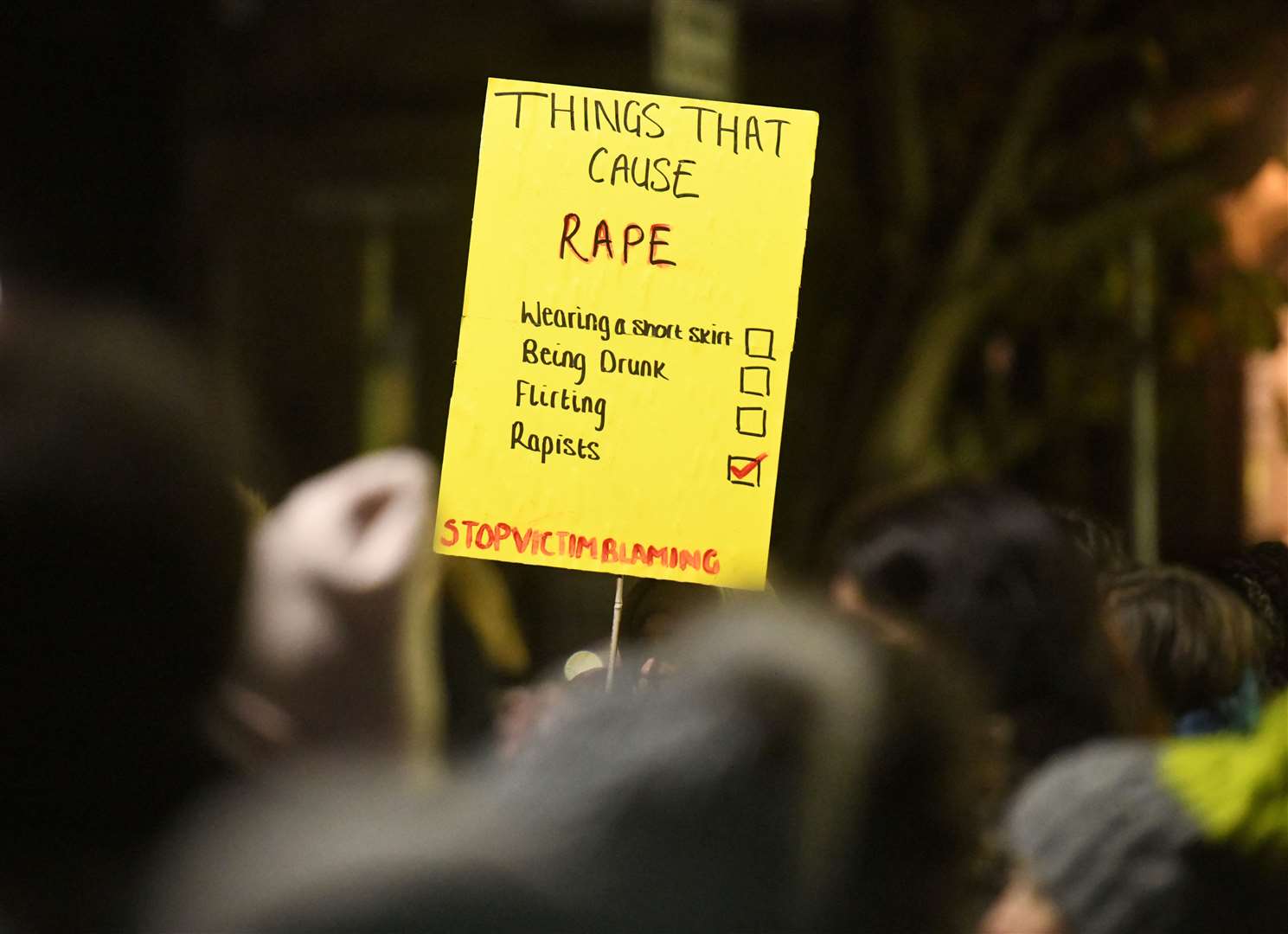 "Things that cause rape: Rapists". Picture: James Mackenzie.