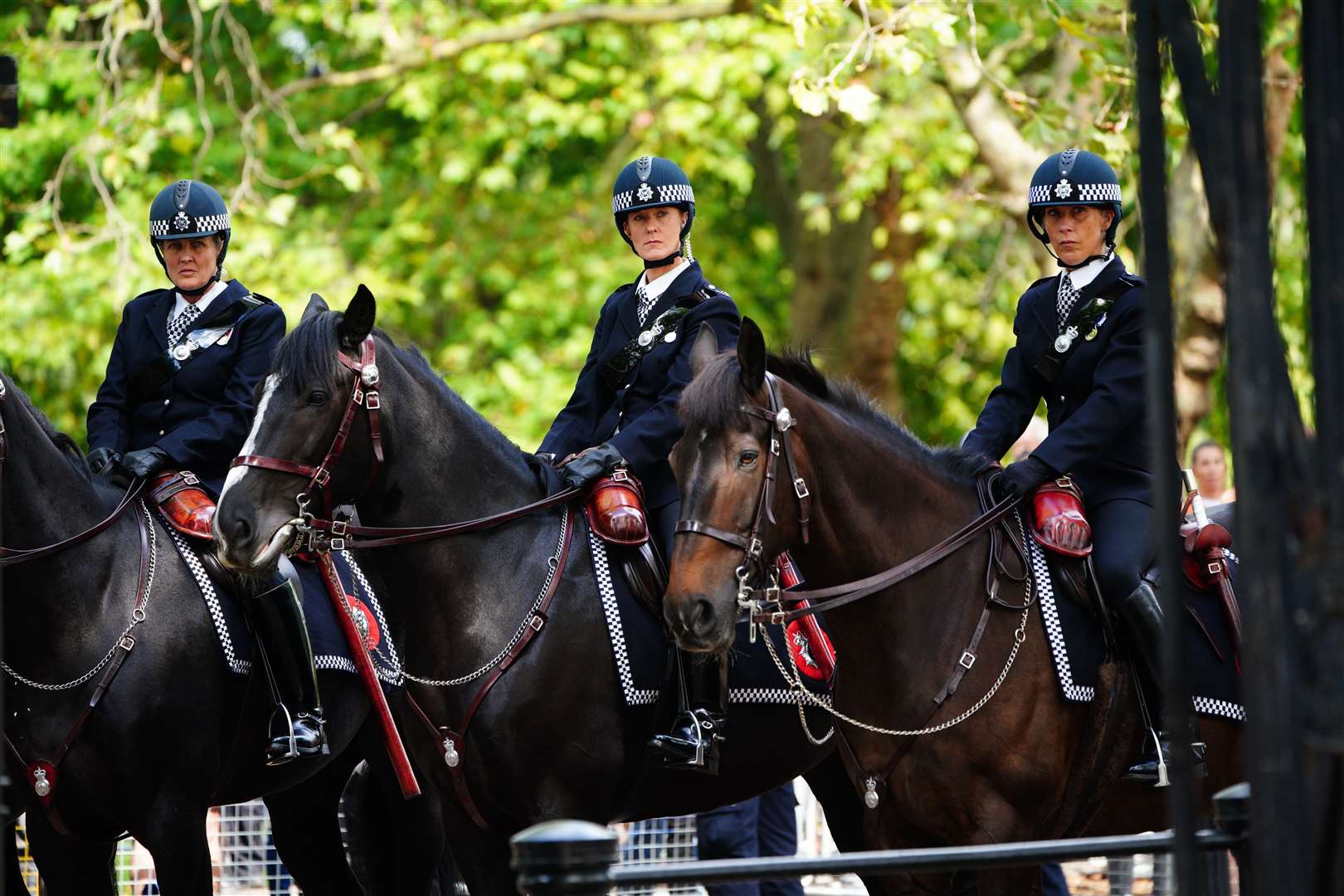 Mounted police were among specialist teams being deployed as part of the operation (Ben Birchall/PA)