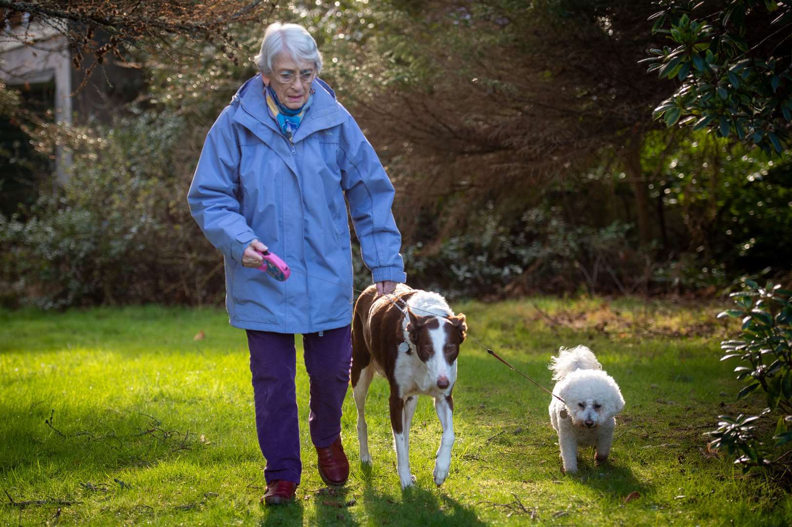 Edna Clyne-Rekhy with Zanussi and Missy. Picture: Callum Mackay.