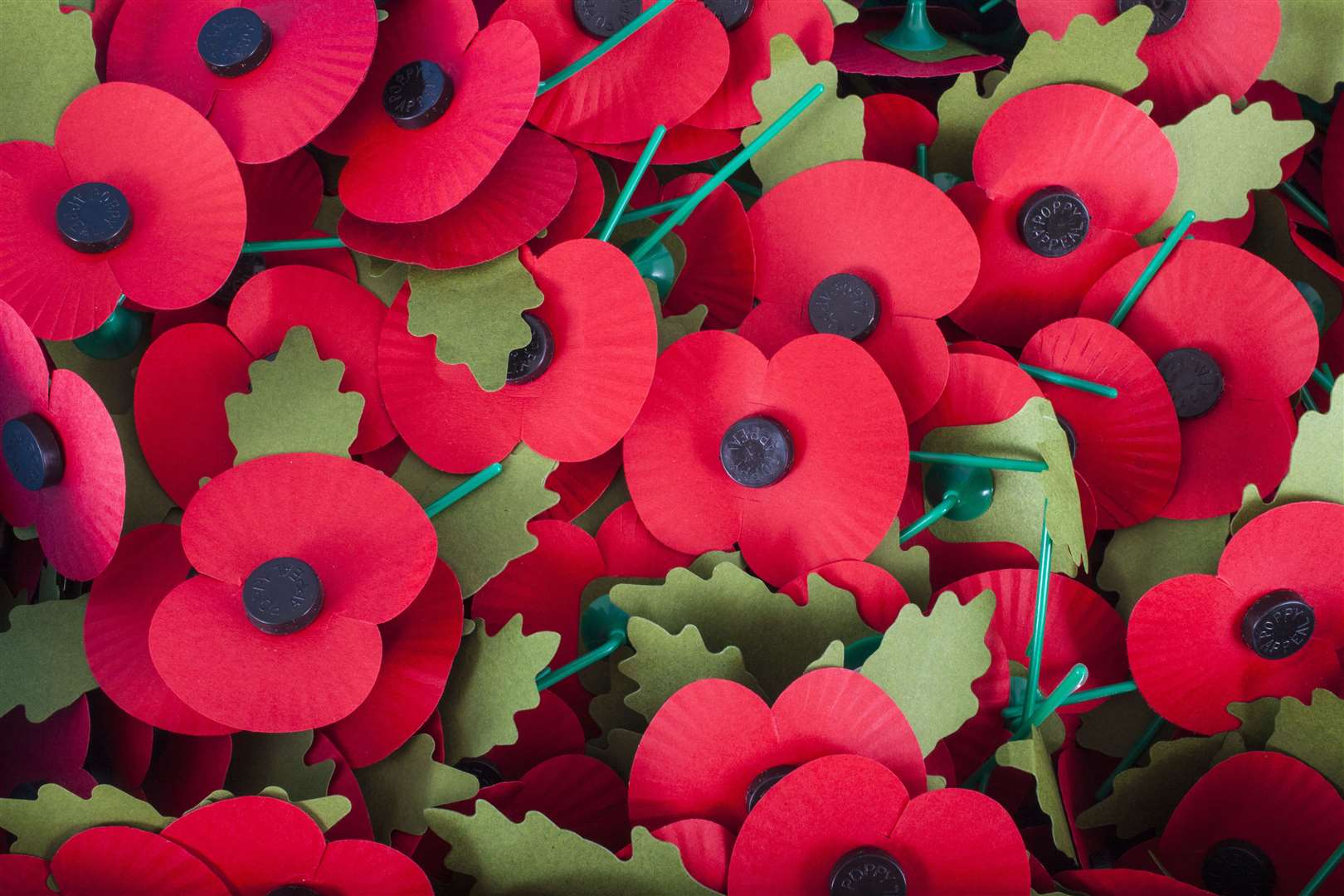 Artificial Poppies used to commemorate Remembrance Day.