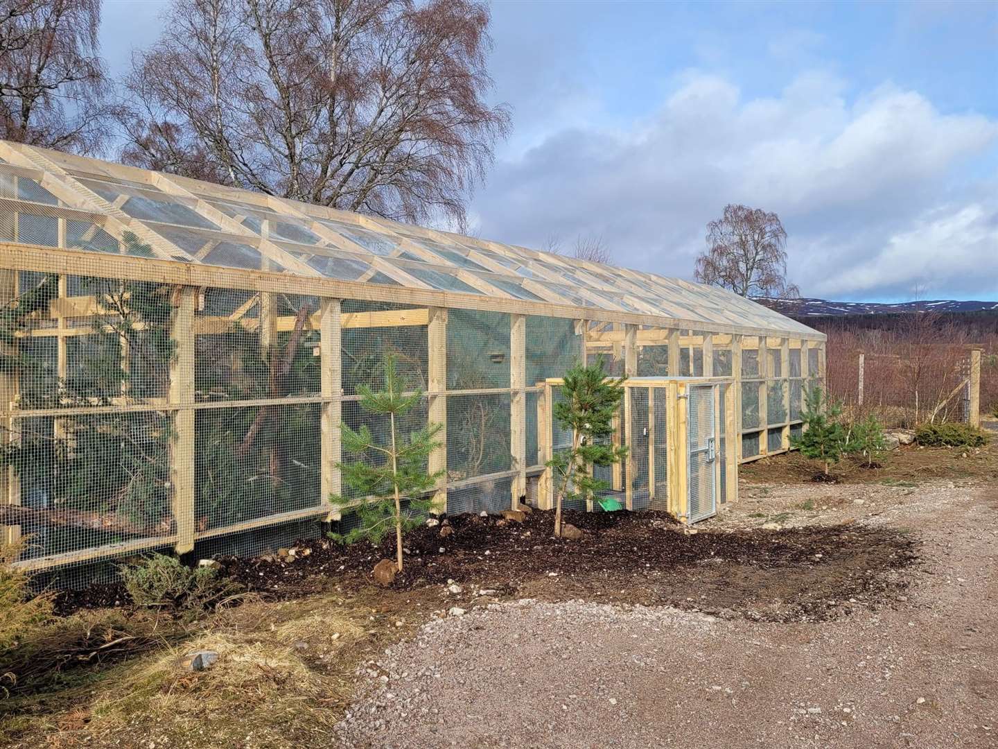 The new enclosures created at the Highland Wildlife Park for the exciting project. Photo: Saving Wildcats