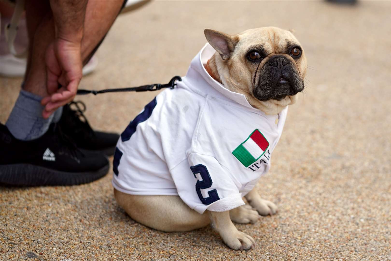 A dog sporting an Italy shirt outside of the ground (Mike Egerton/PA)