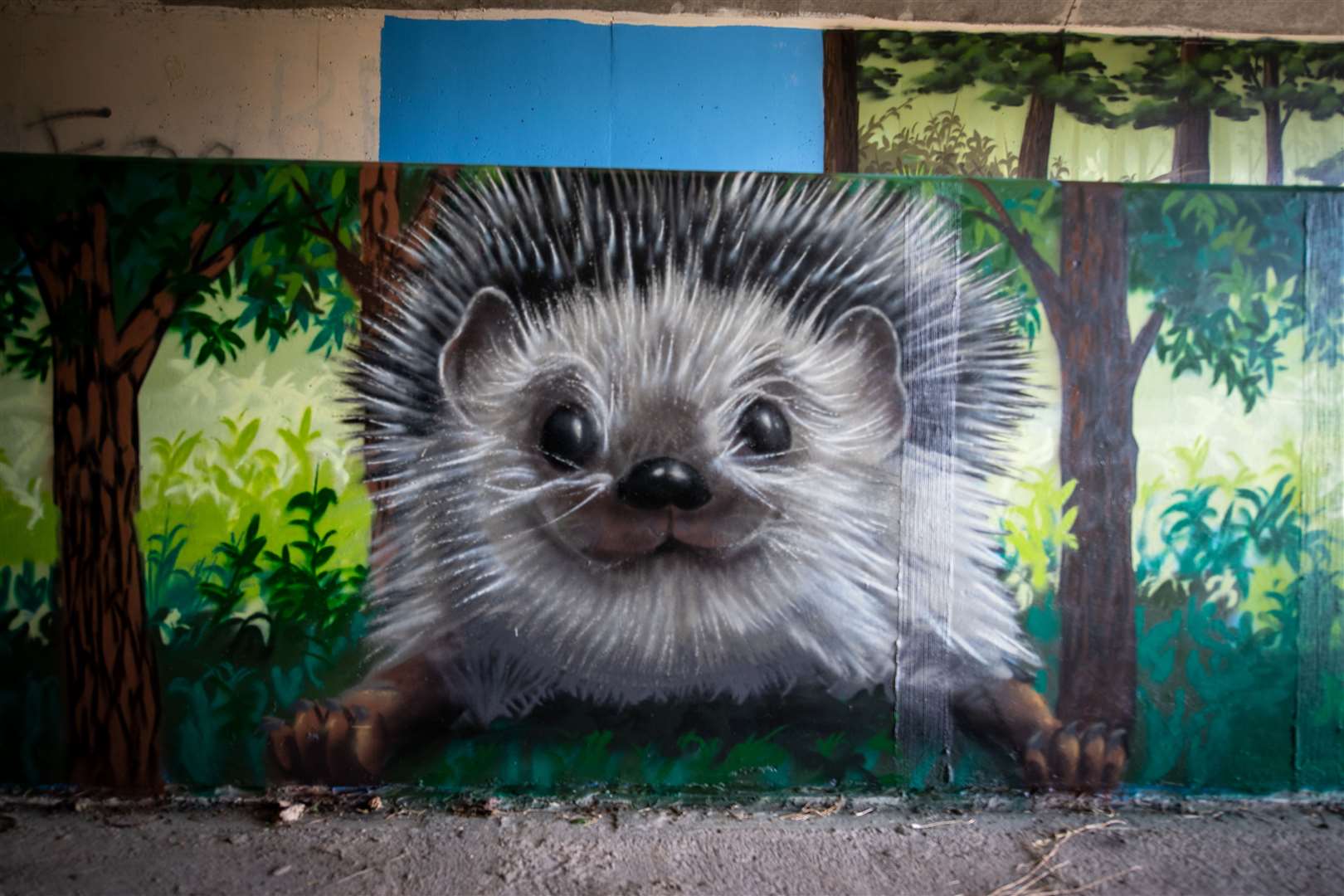 A hedgehog within the underpass.
