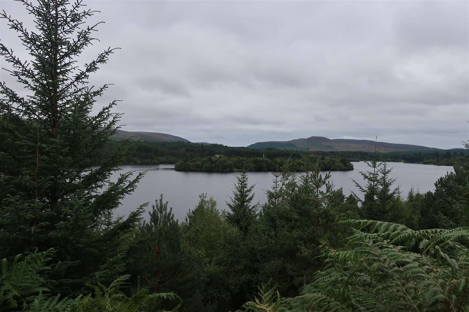 Loch Moy from the forestry track.