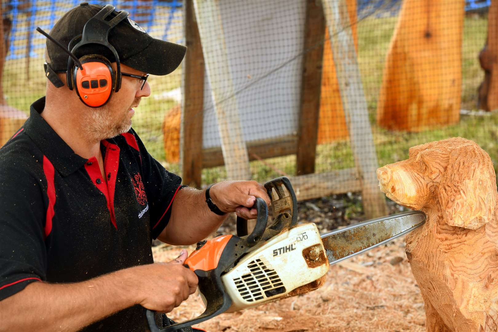 Ian Chalmers, Chainsaw Creations. Picture: James Mackenzie.