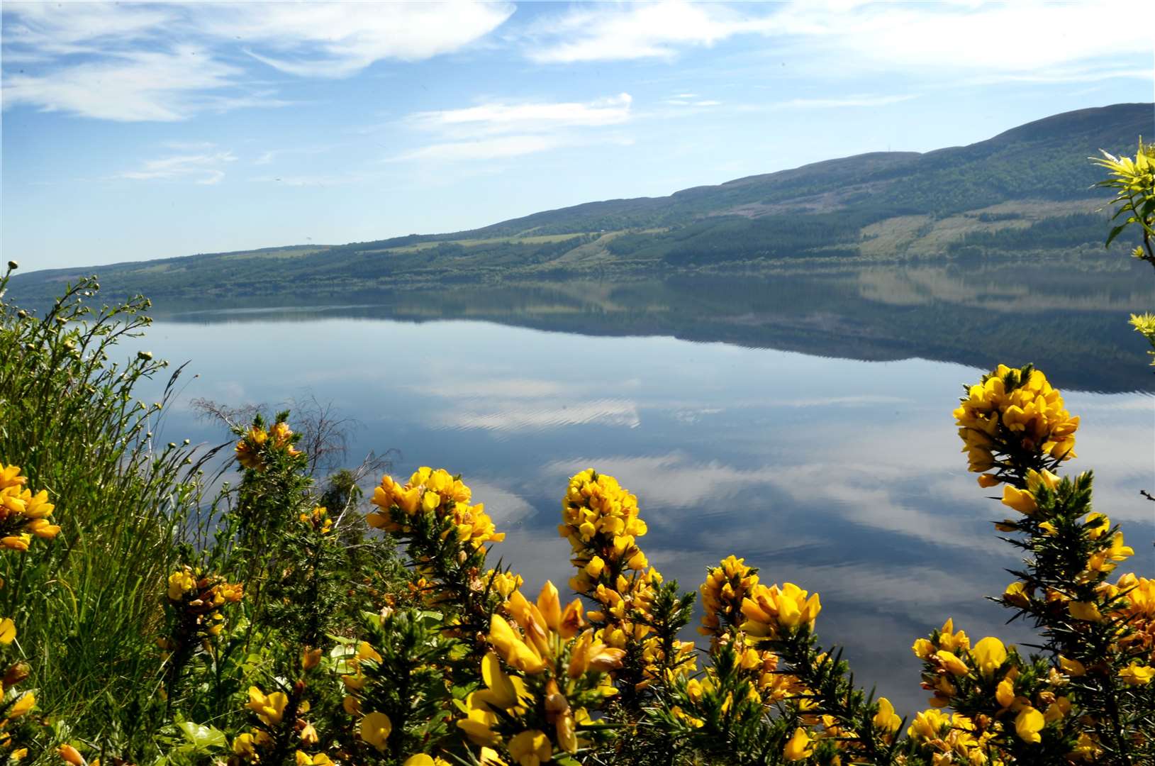 The West Loch Ness Farm Cluster aims to find solutions to the decline in biodiversity.