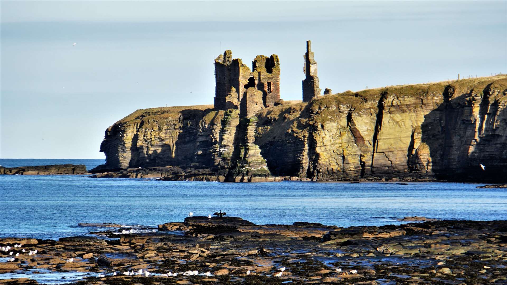 Sinclair Girnigoe castle near Wick. The Earl of Caithness oversaw the construction of a new home at Noss thanks to the land charter. Picture: DGS