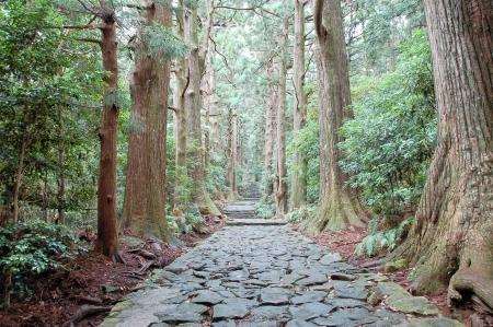 The Daimon Zaka slope on the Kumano Kodo pilgrimage trail, made over a thousand years ago