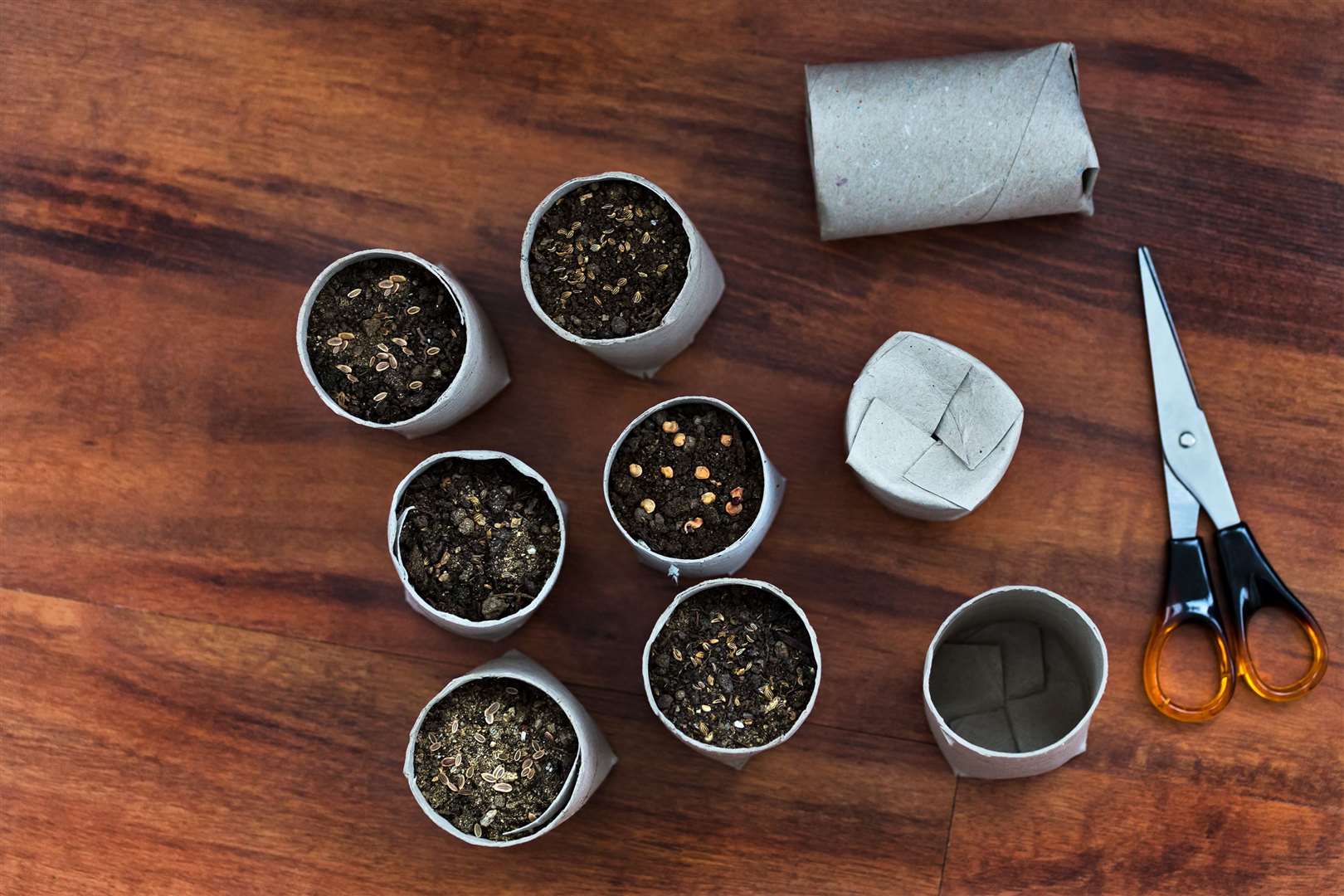 Make use of toilet roll tubes to make seed pots. Picture: iStock/PA