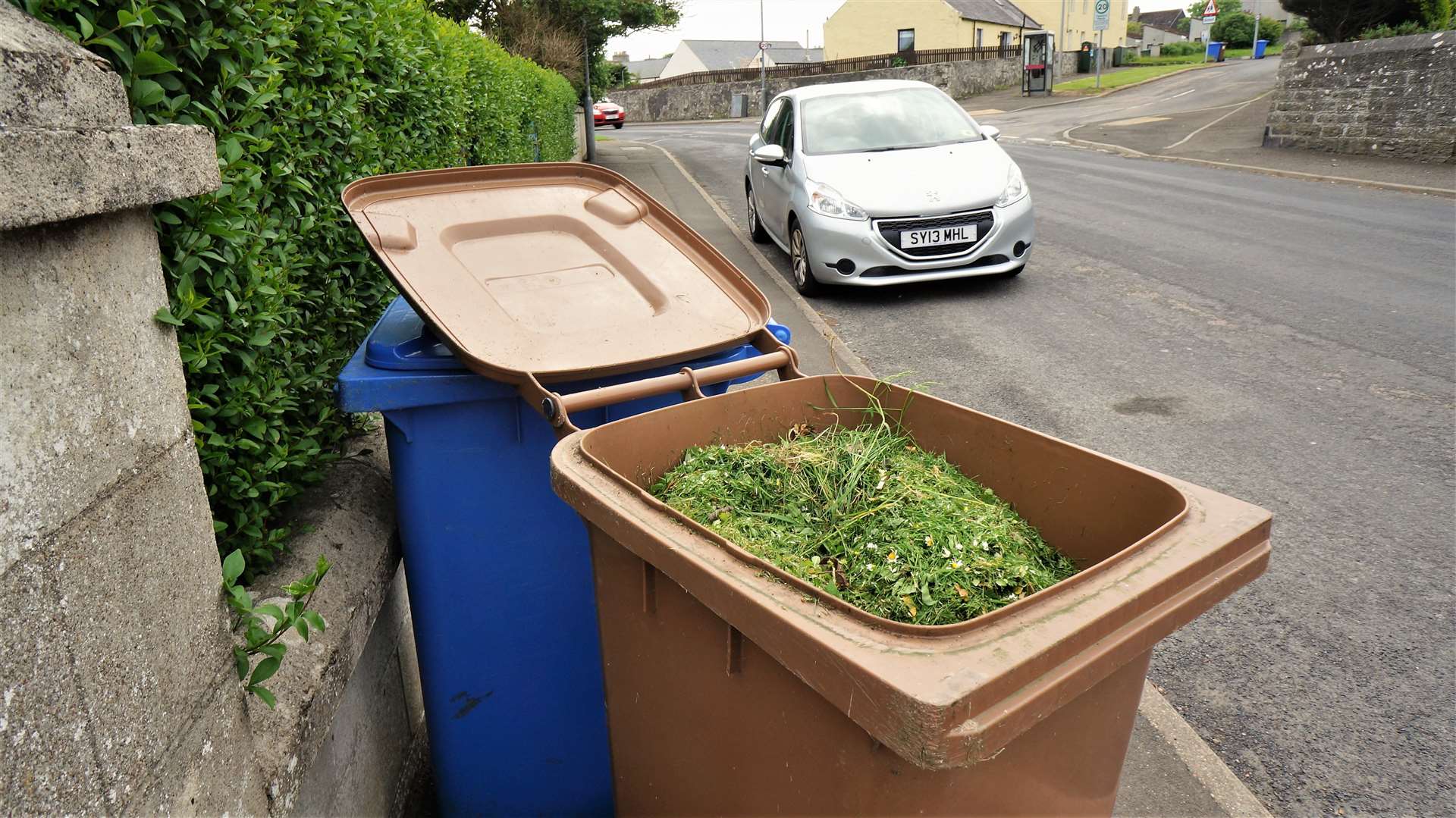 Garden waste permits are available online.