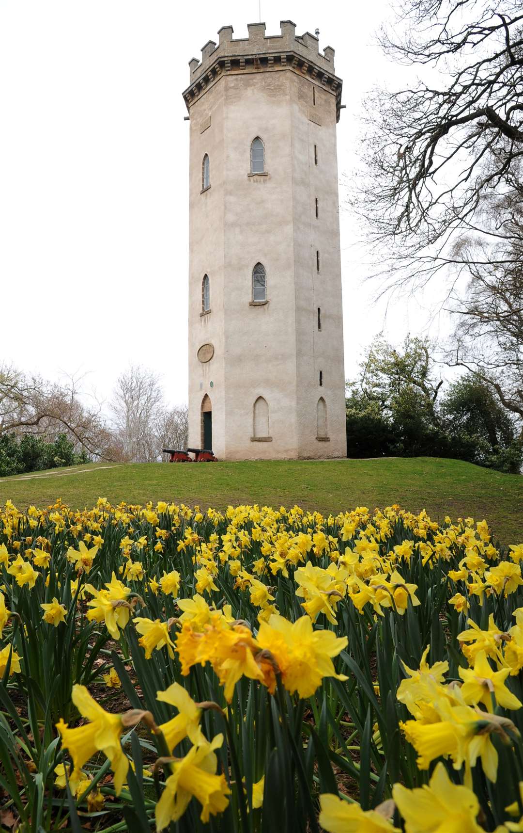 Nelson's Tower, Forres. Picture: Eric Cormack/SPP