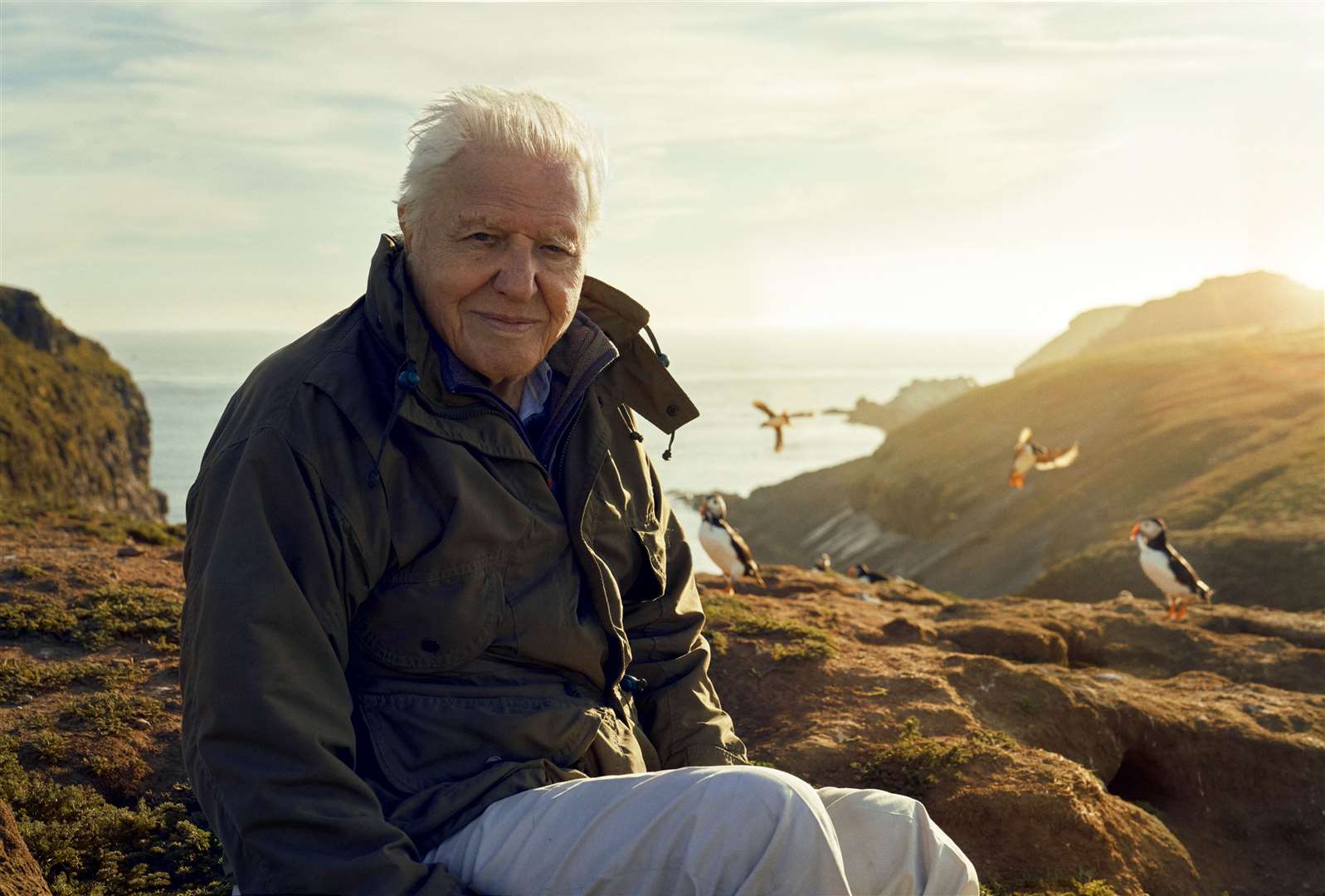 Sir David Attenborough will present ‘extraordinary animal dramas and wildlife spectacles’ across Britain in a new series for the BBC (BBC/Silverback Films/Alex Board/PA)