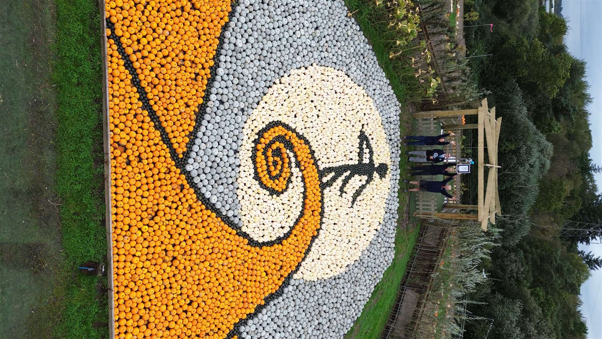 The trickiest part of the mosaic was the spiral (Guinness World Records)