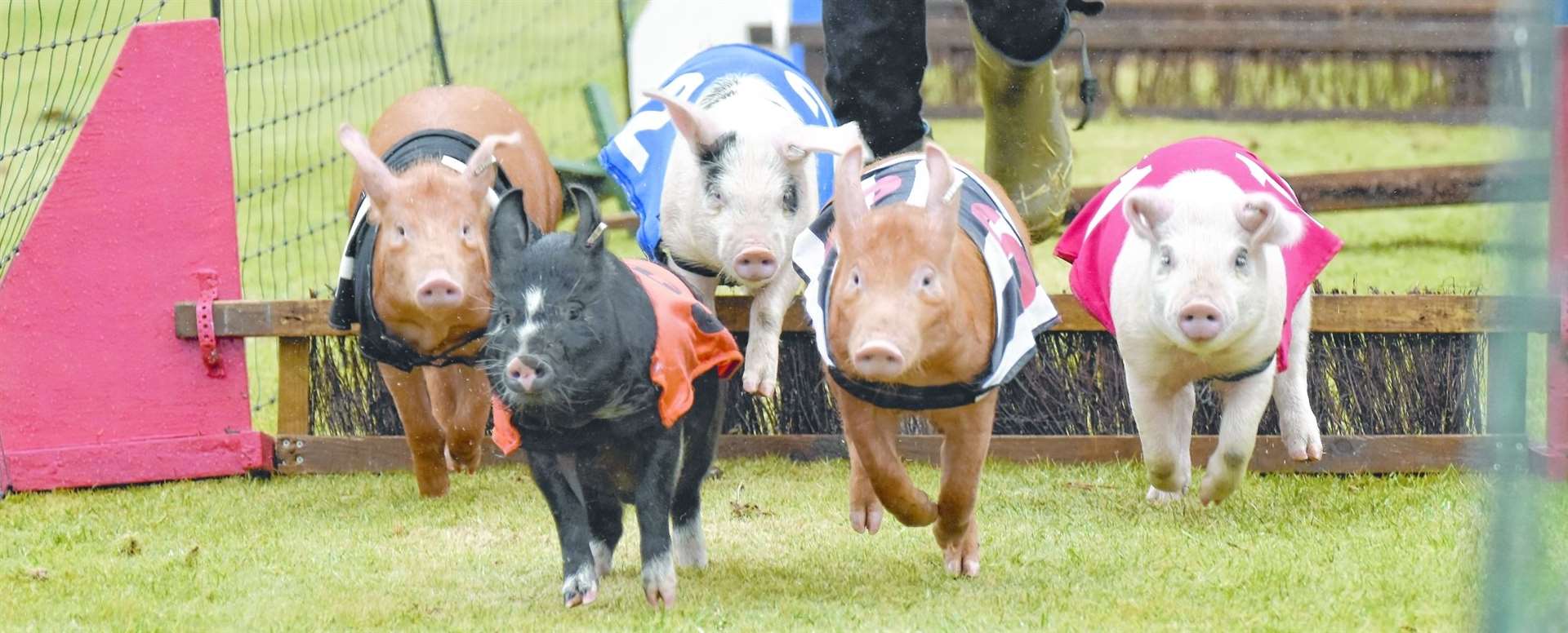Gordon Castle Highland Games and Country Fair in Fochabers takes place on May 19. Picture: Lyn MacDonald / SPP