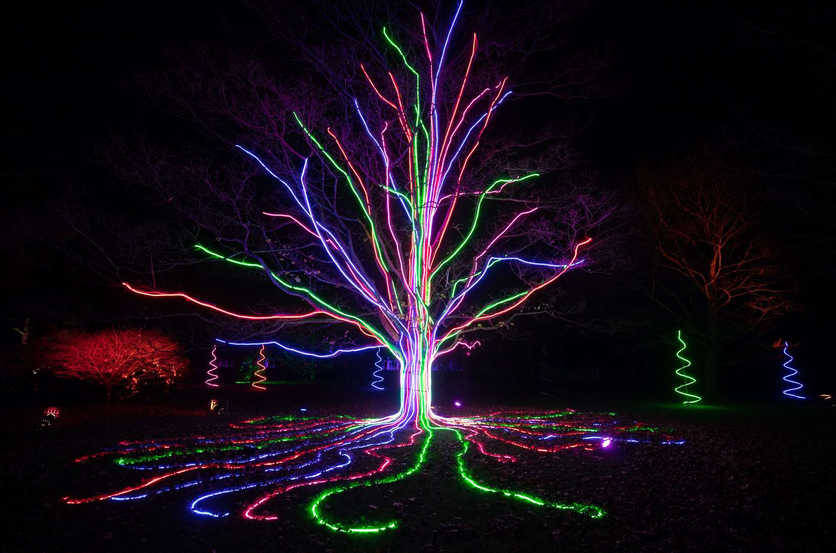 Neon lights cascade down from one of Kew’s heritage trees (Andrew Matthews/PA)